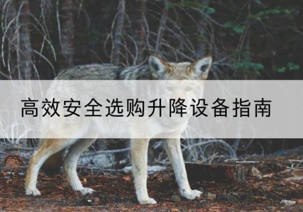 岗巴升降货梯厂家推荐-*安全选购升降设备指南