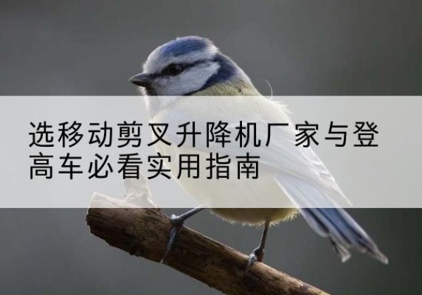 岗巴电动升降机厂家-选移动剪叉升降机厂家与登高车必看实用指南